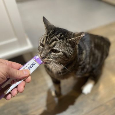 Home Visits + Medicine - Image 3