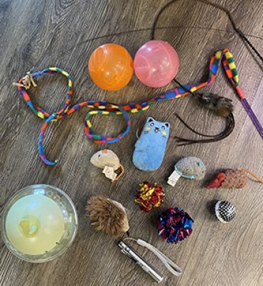 Toys300x420 Toys300x420