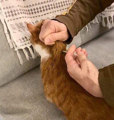 Home Visits + Medicine