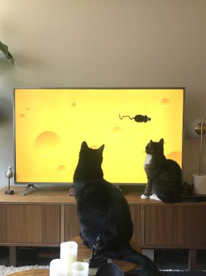 WatchingTV300x420 WatchingTV300x420